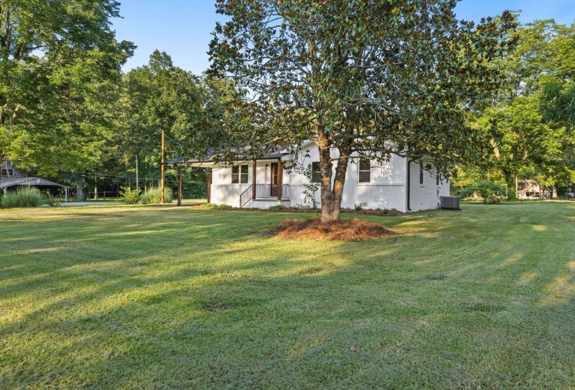 View of green lawn