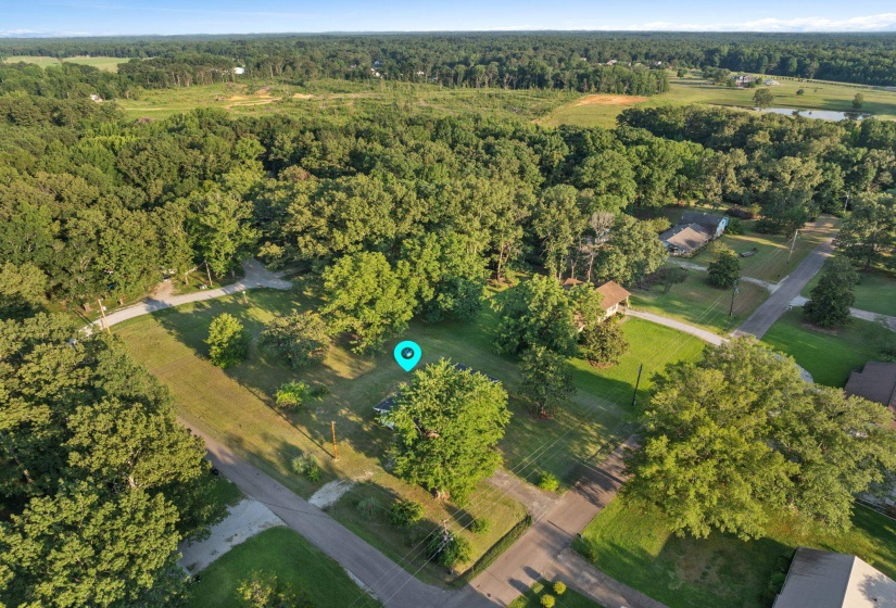 Aerial view of property and surrounding area with a forest