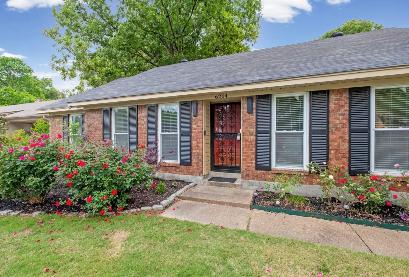 Brick exterior featuring a black security screen door, black window shutters, and a front walkway