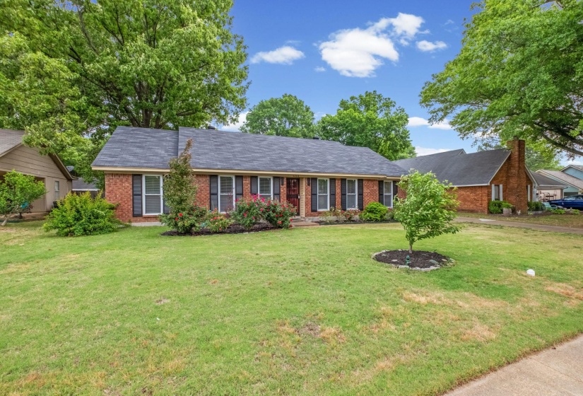 Traditional brick home featuring a dark shingle roof, black louvered shutters, mature trees, and established front landscaping