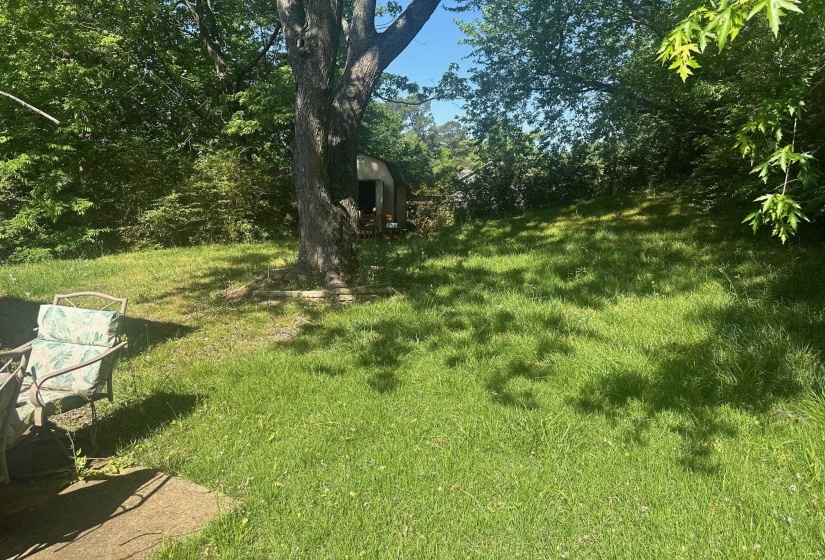 Spacious rear yard with a storage shed, mature trees, and a concrete patio