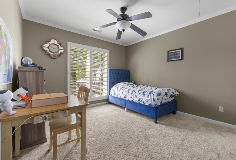 Carpeted room featuring a ceiling fan with integrated lighting, crown molding, and a window with blinds