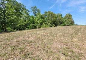 1 TURTLE POINT LN, Waverly, Tennessee 37185, ,Land,For Sale,TURTLE POINT,10220497 1 TURTLE POINT LN, Waverly, Tennessee 37185, ,Land,For Sale,TURTLE POINT,10220497