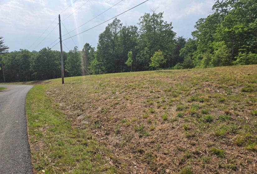 1 TURTLE POINT LN, Waverly, Tennessee 37185, ,Land,For Sale,TURTLE POINT,10220497