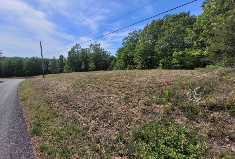2 TURTLE POINT LN, Waverly, Tennessee 37185, ,Land,For Sale,TURTLE POINT,10220499