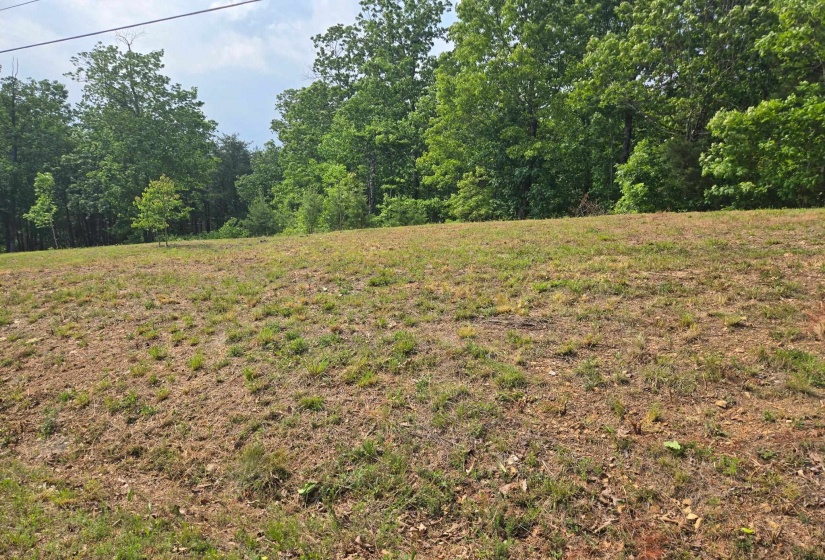 2 TURTLE POINT LN, Waverly, Tennessee 37185, ,Land,For Sale,TURTLE POINT,10220499