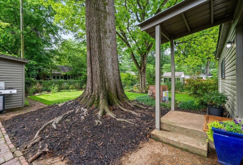 3545 SHIRLWOOD AVE, Memphis, Tennessee 38122, 3 Bedroom Bedrooms, 8 Room Rooms,2 BathroomBathrooms,Residential,For Sale,SHIRLWOOD,0,10220444