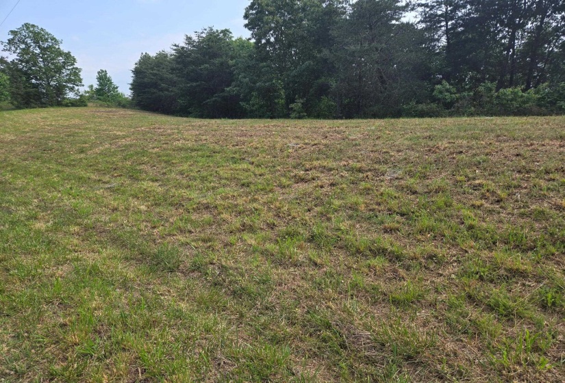 5 HARBOR VIEW LN, Waverly, Tennessee 37185, ,Land,For Sale,HARBOR VIEW,10220502