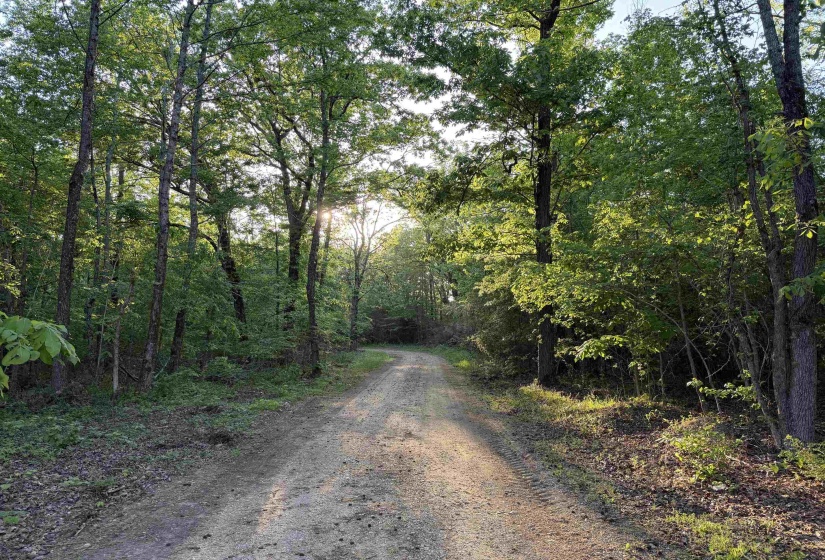 859 CRAVENS RD, Savannah, Tennessee 38372, ,Land,For Sale,CRAVENS,10220517