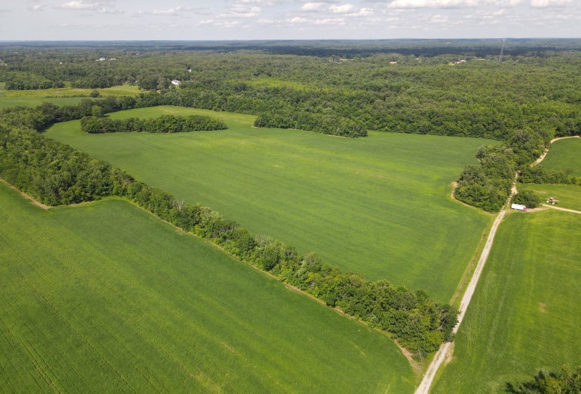 859 CRAVENS RD, Savannah, Tennessee 38372, ,Land,For Sale,CRAVENS,10220517