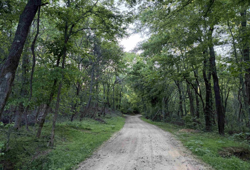 859 CRAVENS RD, Savannah, Tennessee 38372, ,Land,For Sale,CRAVENS,10220517