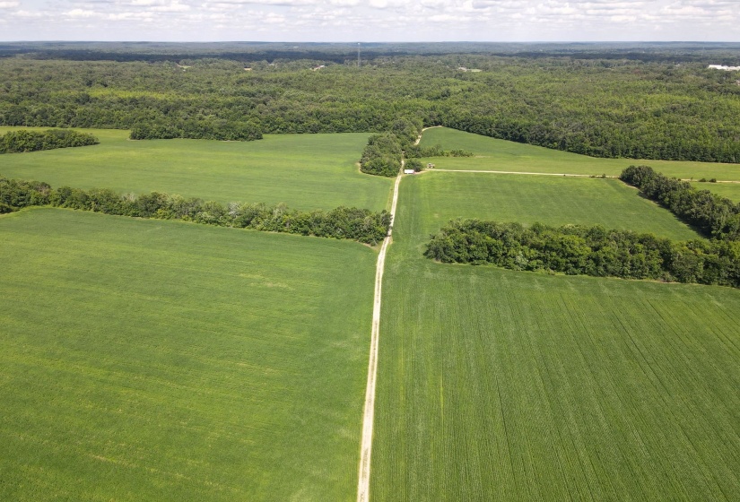 859 CRAVENS RD, Savannah, Tennessee 38372, ,Land,For Sale,CRAVENS,10220517