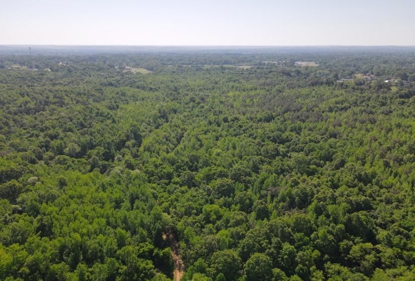 859 CRAVENS RD, Savannah, Tennessee 38372, ,Land,For Sale,CRAVENS,10220517