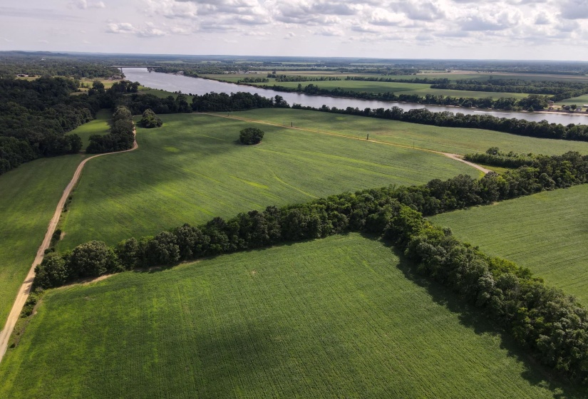 859 CRAVENS RD, Savannah, Tennessee 38372, ,Land,For Sale,CRAVENS,10220517