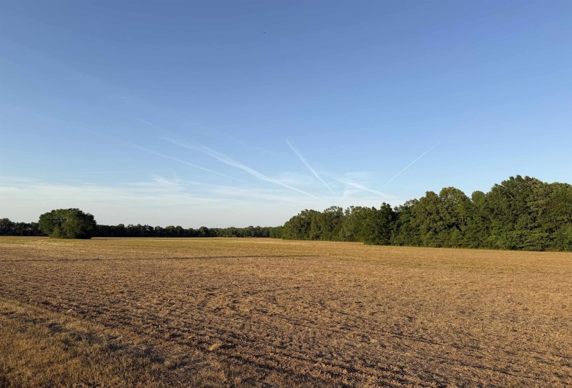 859 CRAVENS RD, Savannah, Tennessee 38372, ,Land,For Sale,CRAVENS,10220517