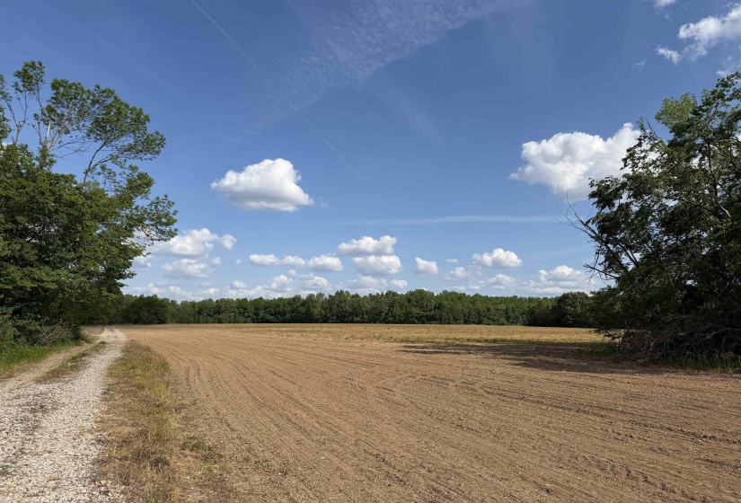 859 CRAVENS RD, Savannah, Tennessee 38372, ,Land,For Sale,CRAVENS,10220517
