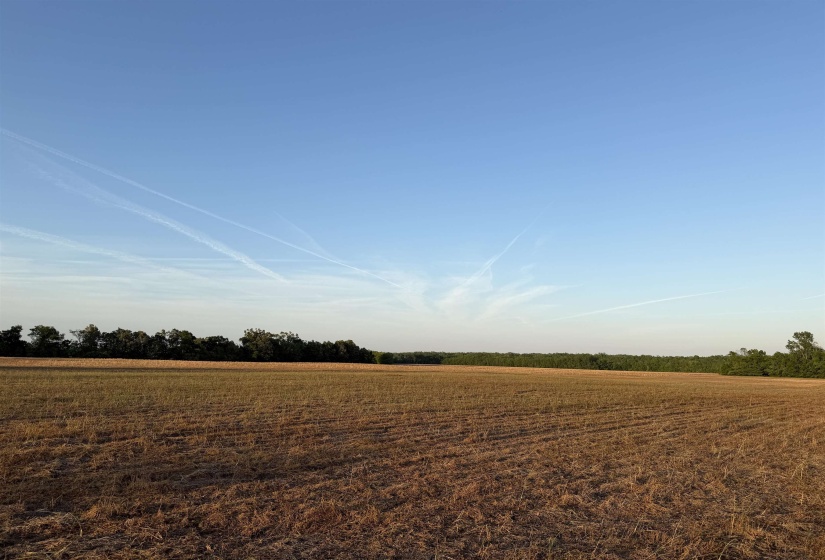 859 CRAVENS RD, Savannah, Tennessee 38372, ,Land,For Sale,CRAVENS,10220517