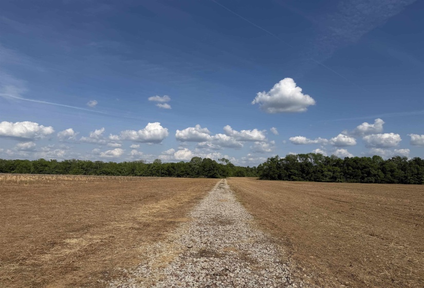 859 CRAVENS RD, Savannah, Tennessee 38372, ,Land,For Sale,CRAVENS,10220517