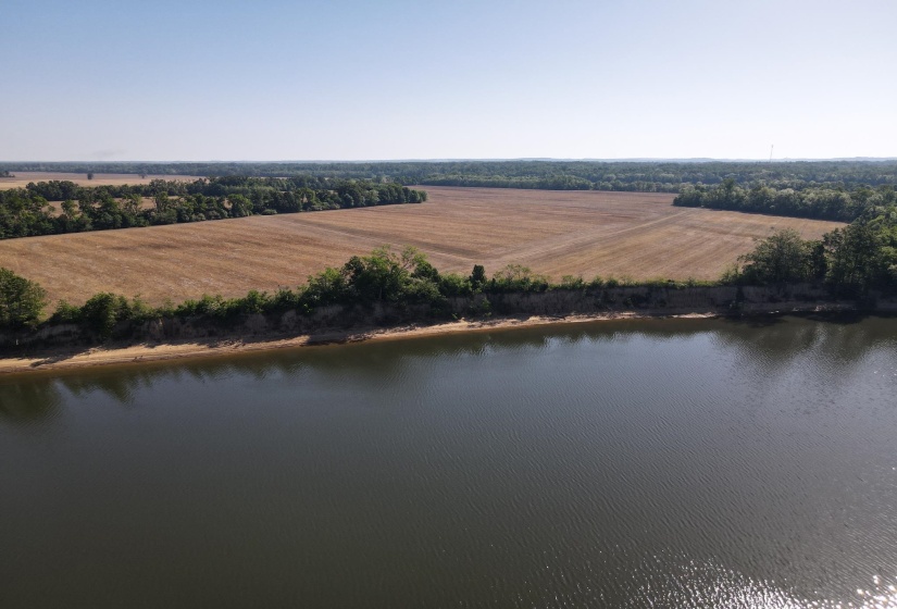 859 CRAVENS RD, Savannah, Tennessee 38372, ,Land,For Sale,CRAVENS,10220517