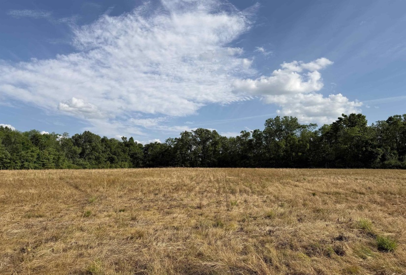 859 CRAVENS RD, Savannah, Tennessee 38372, ,Land,For Sale,CRAVENS,10220517