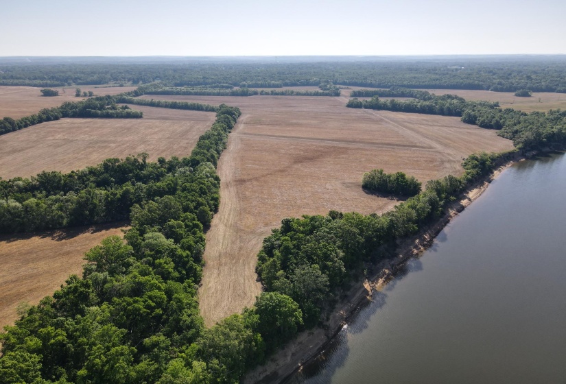 859 CRAVENS RD, Savannah, Tennessee 38372, ,Land,For Sale,CRAVENS,10220517