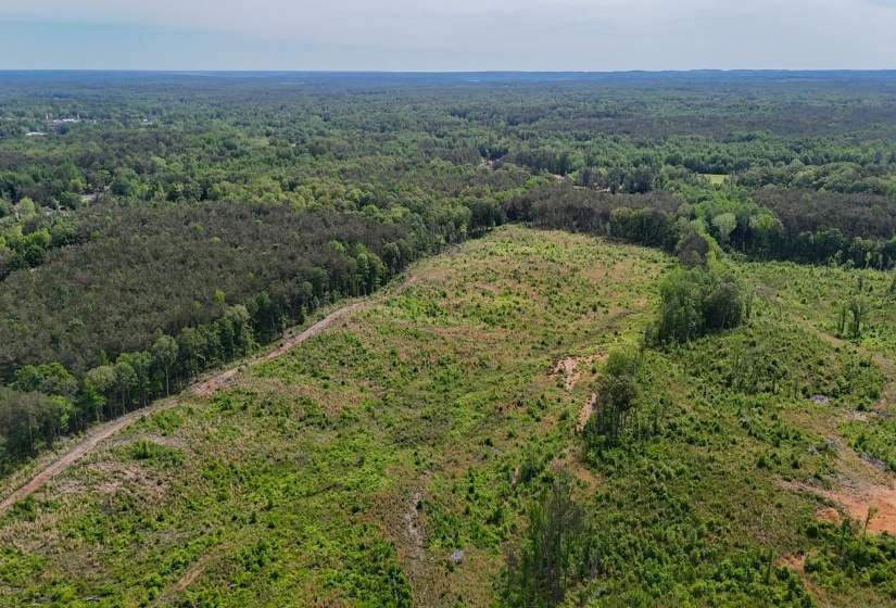 0 HOLLY DR, Iuka, Mississippi 38852, 0 , 0 ,0,Land,For Sale,HOLLY,0,10220530