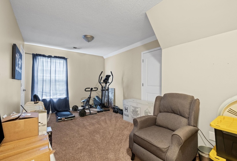 Carpeted room with a window featuring privacy sheers, a standard ceiling light fixture, crown molding, and a solid white door