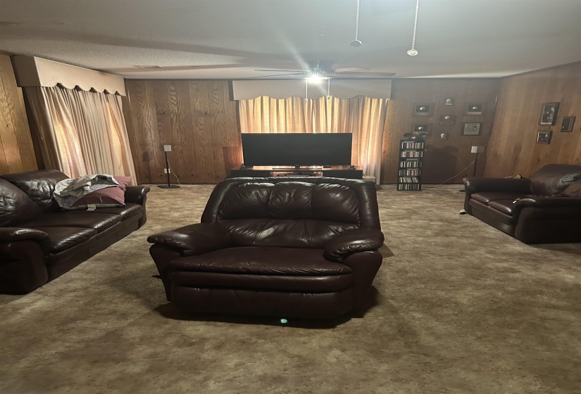 Carpeted living area featuring wood paneling