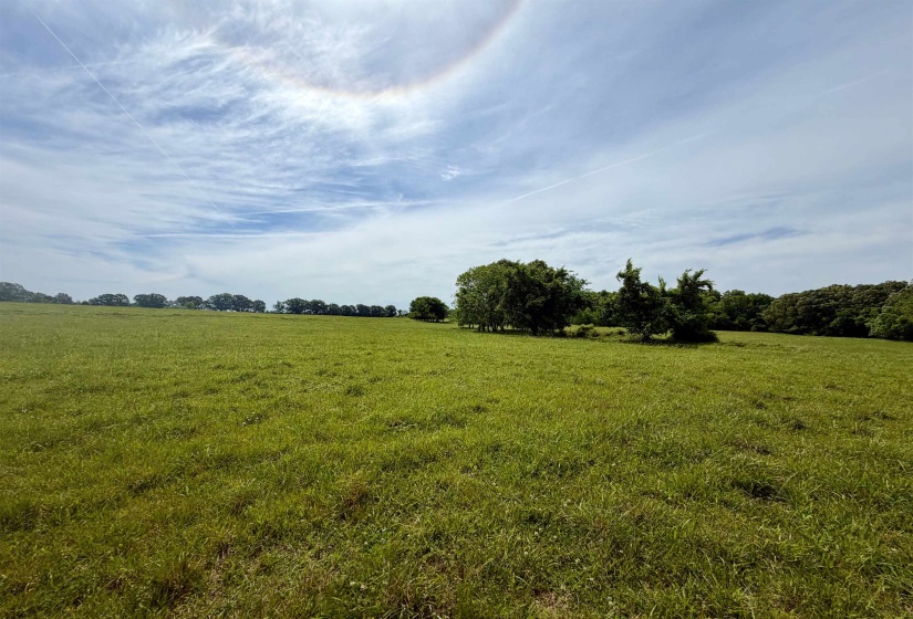 0 MEBANE RD, Oakland, Tennessee 38060, ,Land,For Sale,MEBANE,10220554
