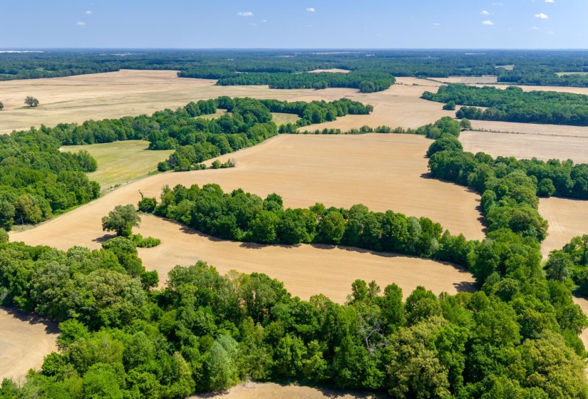 0 BOYLAND WAY, Unincorporated, Tennessee 38049, 0 , 0 ,0,Land,For Sale,BOYLAND,0,10220558