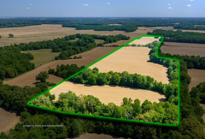 0 BOYLAND WAY, Unincorporated, Tennessee 38049, 0 , 0 ,0,Land,For Sale,BOYLAND,0,10220558