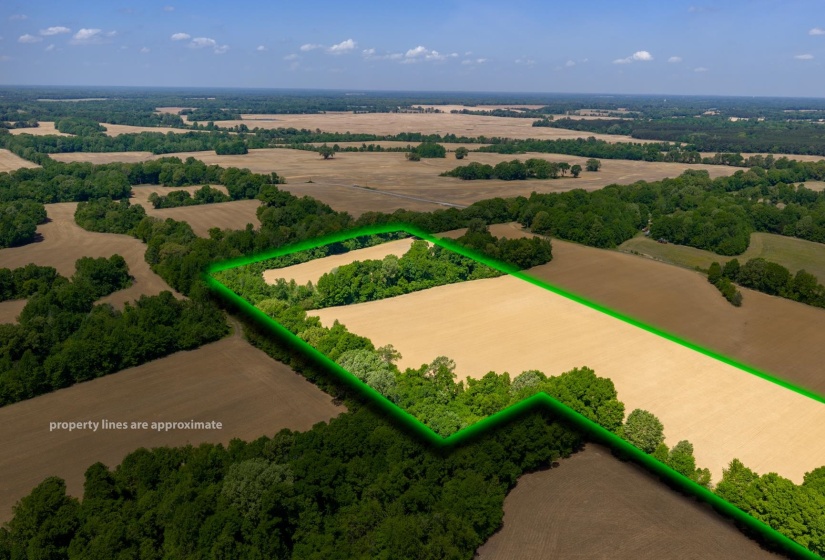 0 BOYLAND WAY, Unincorporated, Tennessee 38049, 0 , 0 ,0,Land,For Sale,BOYLAND,0,10220558