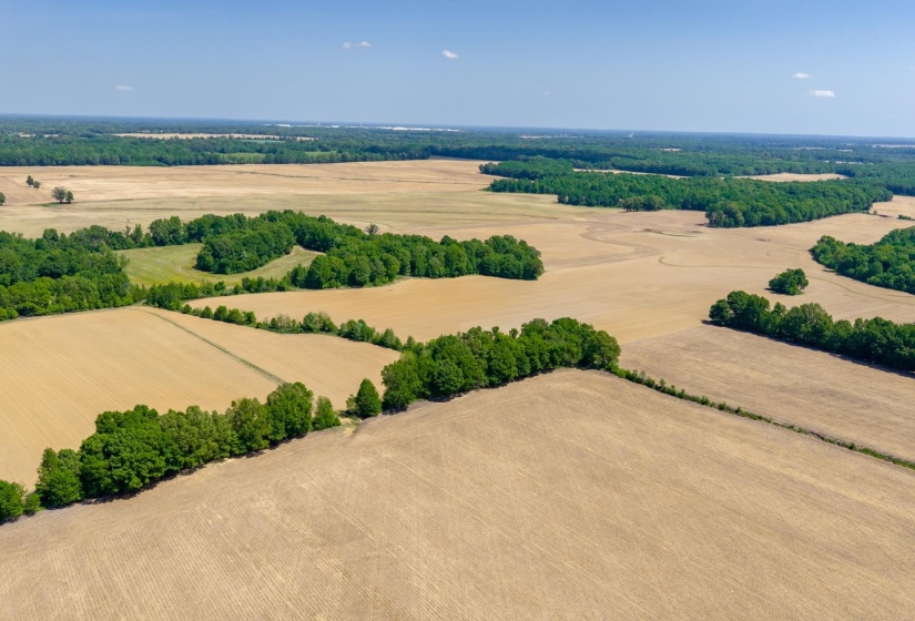 0 BOYLAND WAY, Unincorporated, Tennessee 38049, 0 , 0 ,0,Land,For Sale,BOYLAND,0,10220558