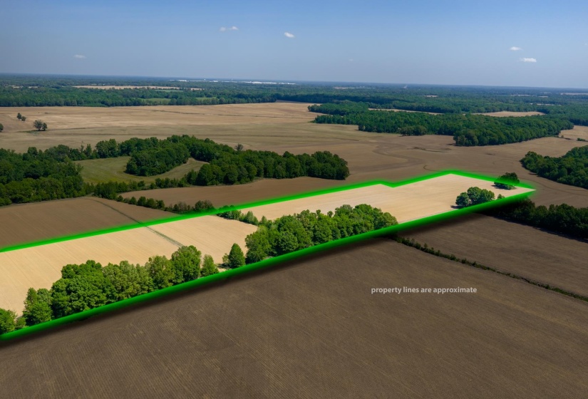 0 BOYLAND WAY, Unincorporated, Tennessee 38049, 0 , 0 ,0,Land,For Sale,BOYLAND,0,10220558
