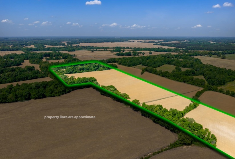 0 BOYLAND WAY, Unincorporated, Tennessee 38049, 0 , 0 ,0,Land,For Sale,BOYLAND,0,10220558