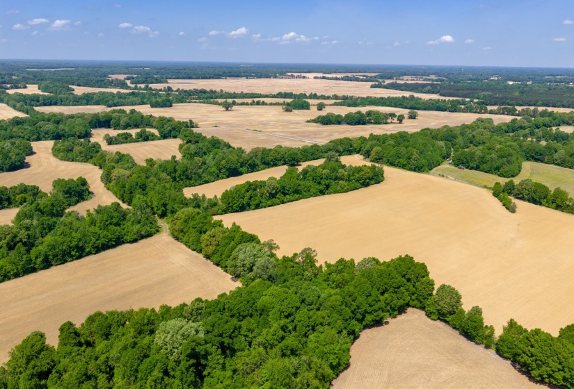 0 BOYLAND WAY, Unincorporated, Tennessee 38049, 0 , 0 ,0,Land,For Sale,BOYLAND,0,10220558