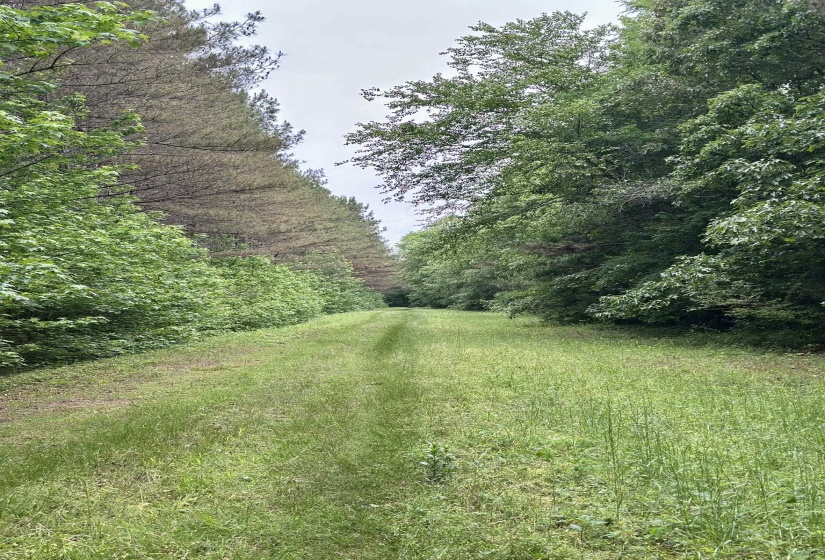 0 MOORE RD, Red Banks, Mississippi 38635, ,Land,For Sale,MOORE,10220590
