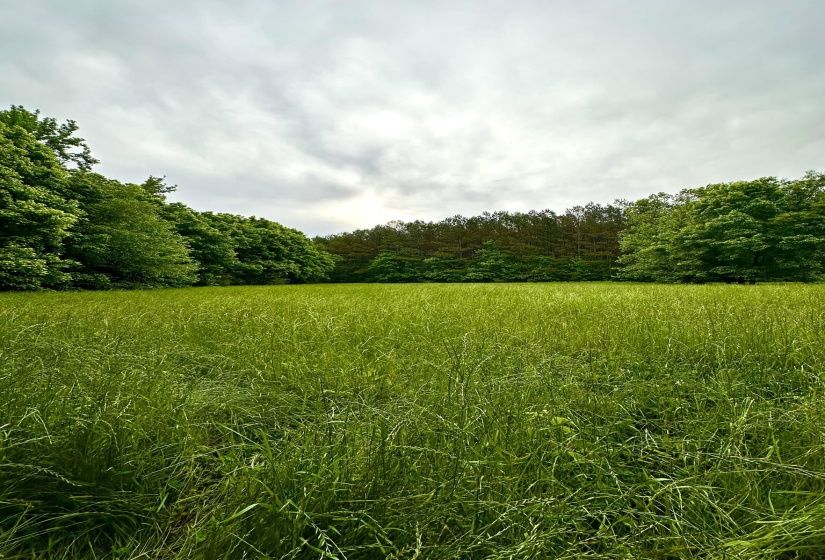 0 MOORE RD, Red Banks, Mississippi 38635, ,Land,For Sale,MOORE,10220590