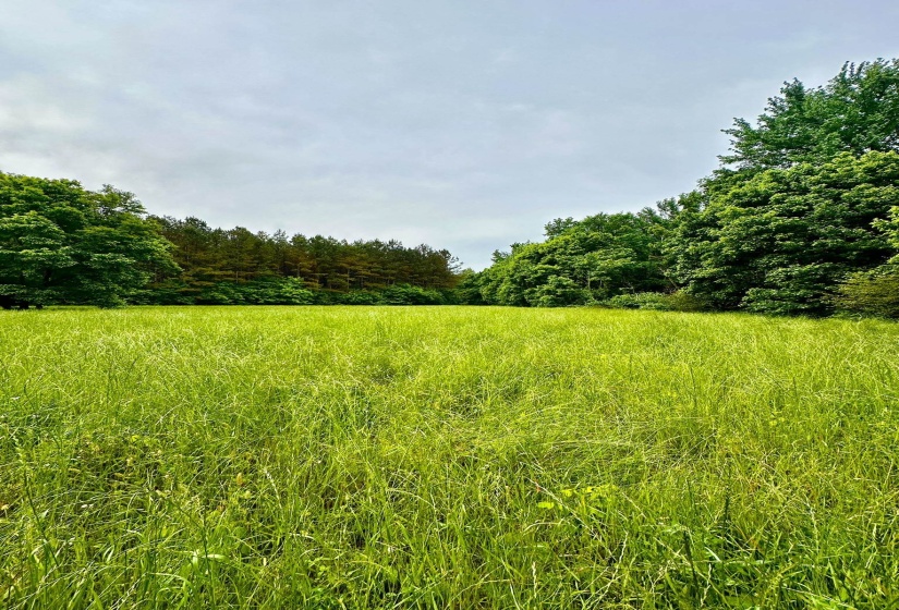 0 MOORE RD, Red Banks, Mississippi 38635, ,Land,For Sale,MOORE,10220590