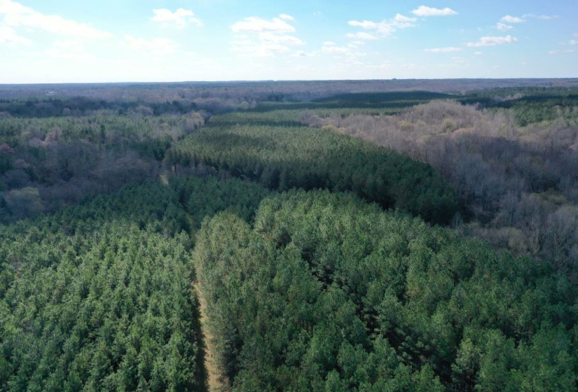 0 MOORE RD, Red Banks, Mississippi 38635, ,Land,For Sale,MOORE,10220590
