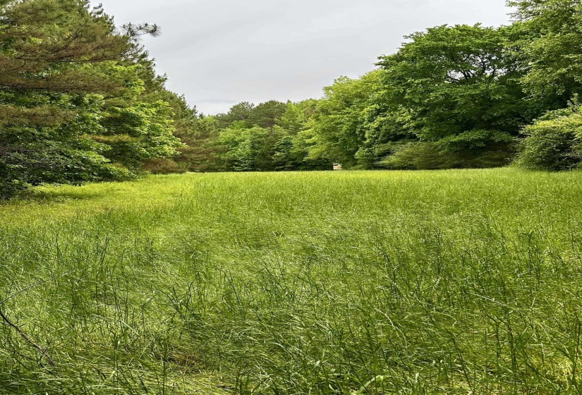 0 MOORE RD, Red Banks, Mississippi 38635, ,Land,For Sale,MOORE,10220590