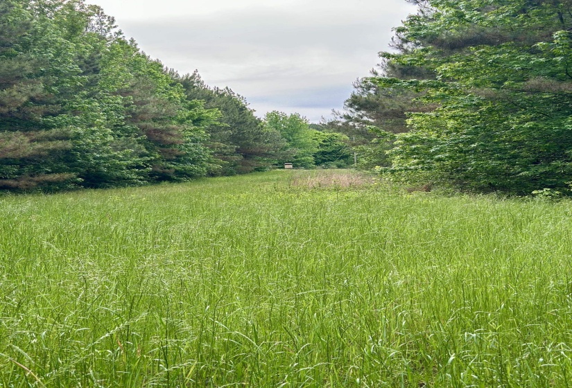 0 MOORE RD, Red Banks, Mississippi 38635, ,Land,For Sale,MOORE,10220590