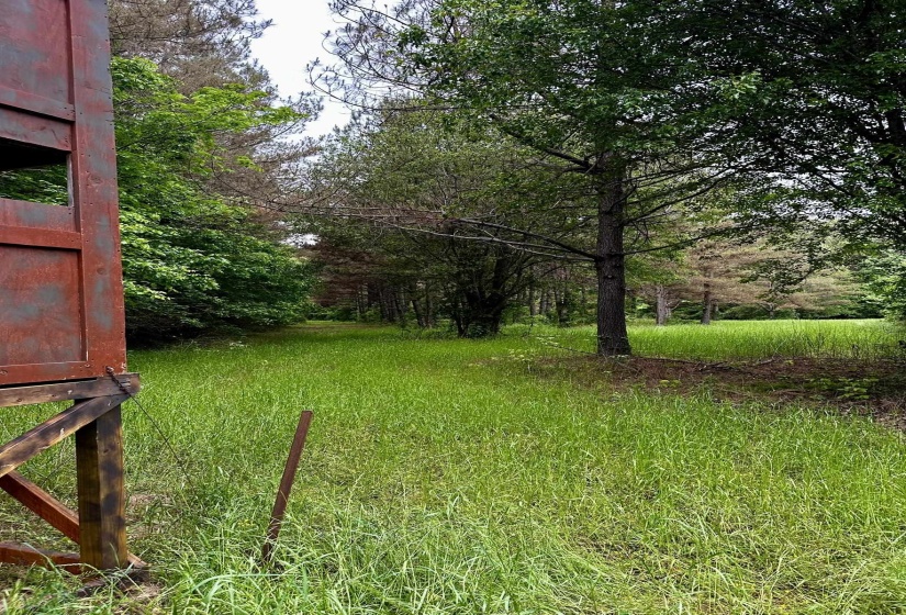 0 MOORE RD, Red Banks, Mississippi 38635, ,Land,For Sale,MOORE,10220590