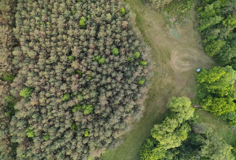 0 MOORE RD, Red Banks, Mississippi 38635, ,Land,For Sale,MOORE,10220590
