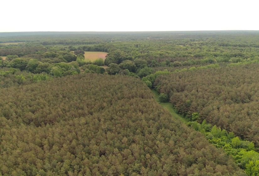 0 MOORE RD, Red Banks, Mississippi 38635, ,Land,For Sale,MOORE,10220590