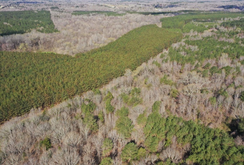 0 MOORE RD, Red Banks, Mississippi 38635, ,Land,For Sale,MOORE,10220590