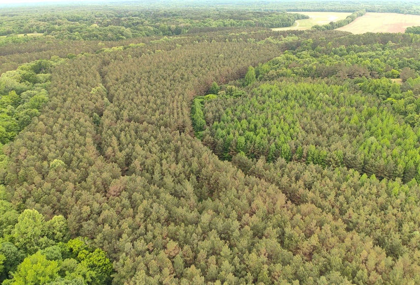 0 MOORE RD, Red Banks, Mississippi 38635, ,Land,For Sale,MOORE,10220590