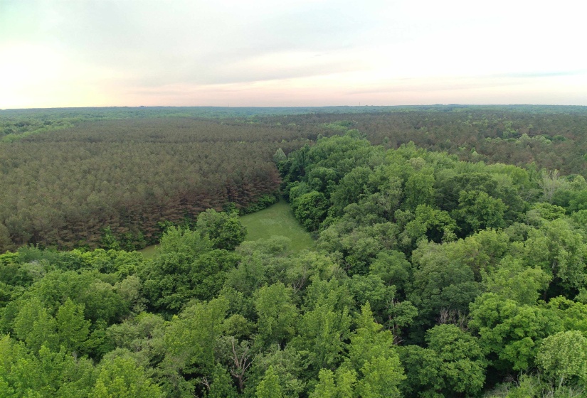 0 MOORE RD, Red Banks, Mississippi 38635, ,Land,For Sale,MOORE,10220590
