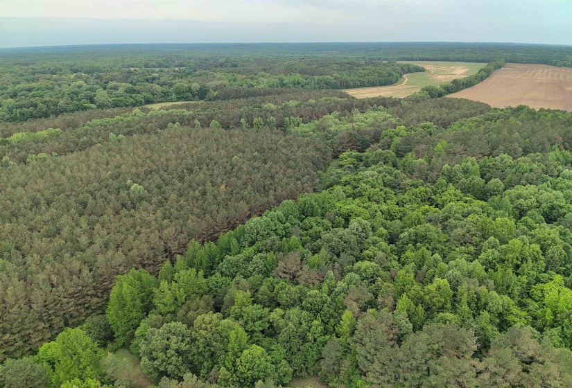 0 MOORE RD, Red Banks, Mississippi 38635, ,Land,For Sale,MOORE,10220590