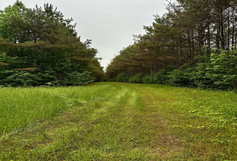 0 MOORE RD, Red Banks, Mississippi 38635, ,Land,For Sale,MOORE,10220590